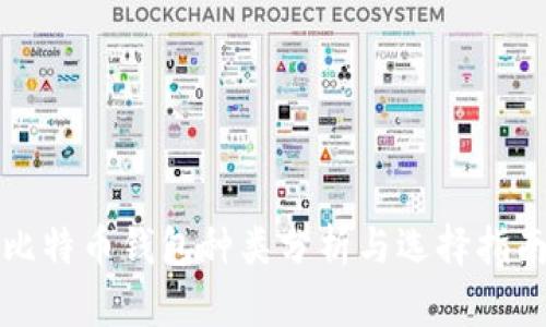 比特币钱包种类分析与选择指南