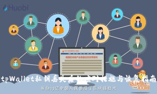 tpWallet私钥丢失后的应对措施与恢复指南