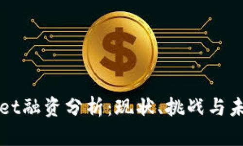 tpWallet融资分析：现状、挑战与未来展望