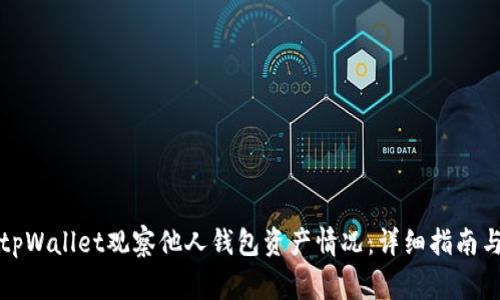 如何使用tpWallet观察他人钱包资产情况：详细指南与注意事项