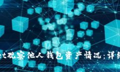 如何使用tpWallet观察他人钱