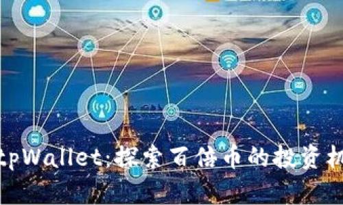 全面解析tpWallet：探索百倍币的投资机会与风险