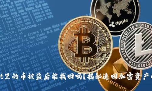 tpWallet里的币被盗后能找回吗？揭秘追回加密资产的可能性